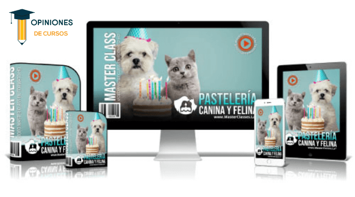 Opiniones de Diana Fonseca y su Curso Pastelería canina y felina + PDF gratis