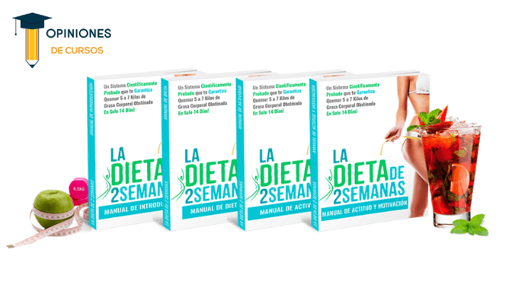 ¿Dónde descargar La dieta de 2 semanas de Brian Flatt en PDF? Comentarios y opiniones