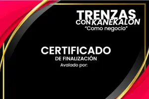 Certificado del curso Trenzas con kanekalon 300 X 200