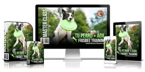 Curso Tu Perro + Ágil - Frisbee Training 300 X 150