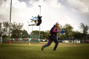 Curso Tu Perro + Ágil - Frisbee Training profesional 300 X 200