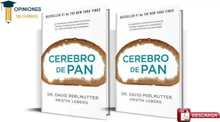 ¿Dónde descargar el libro Cerebro de pan en PDF gratis desde Google Drive?