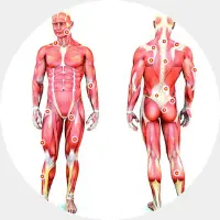 Recuperación muscular fisio 200 X 200