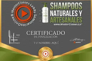 Certificado del curso Shampoos Naturales y Artesanales 300 X 200