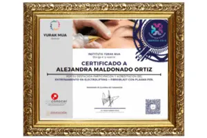 certificado del curso Entrenamiento en Electrolifting Fibroblast con Plasma Pen de Vannesa Solís 300 X 200