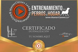 certificado del curso online Entrenamiento Para Perros De Hogar de Sthiwar Guzmán 300 X 200