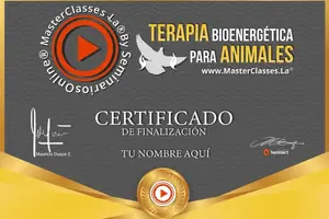 certificado del masterclass Terapia Bioenergética para Animales 300 X 200