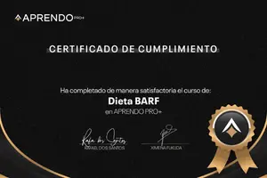 certificado internacional del curso online Los Secretos de la Dieta B.A.R.F. 300 X 200